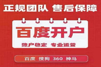 某知名品牌SEM运营策略及效果评估